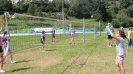 Volley estate